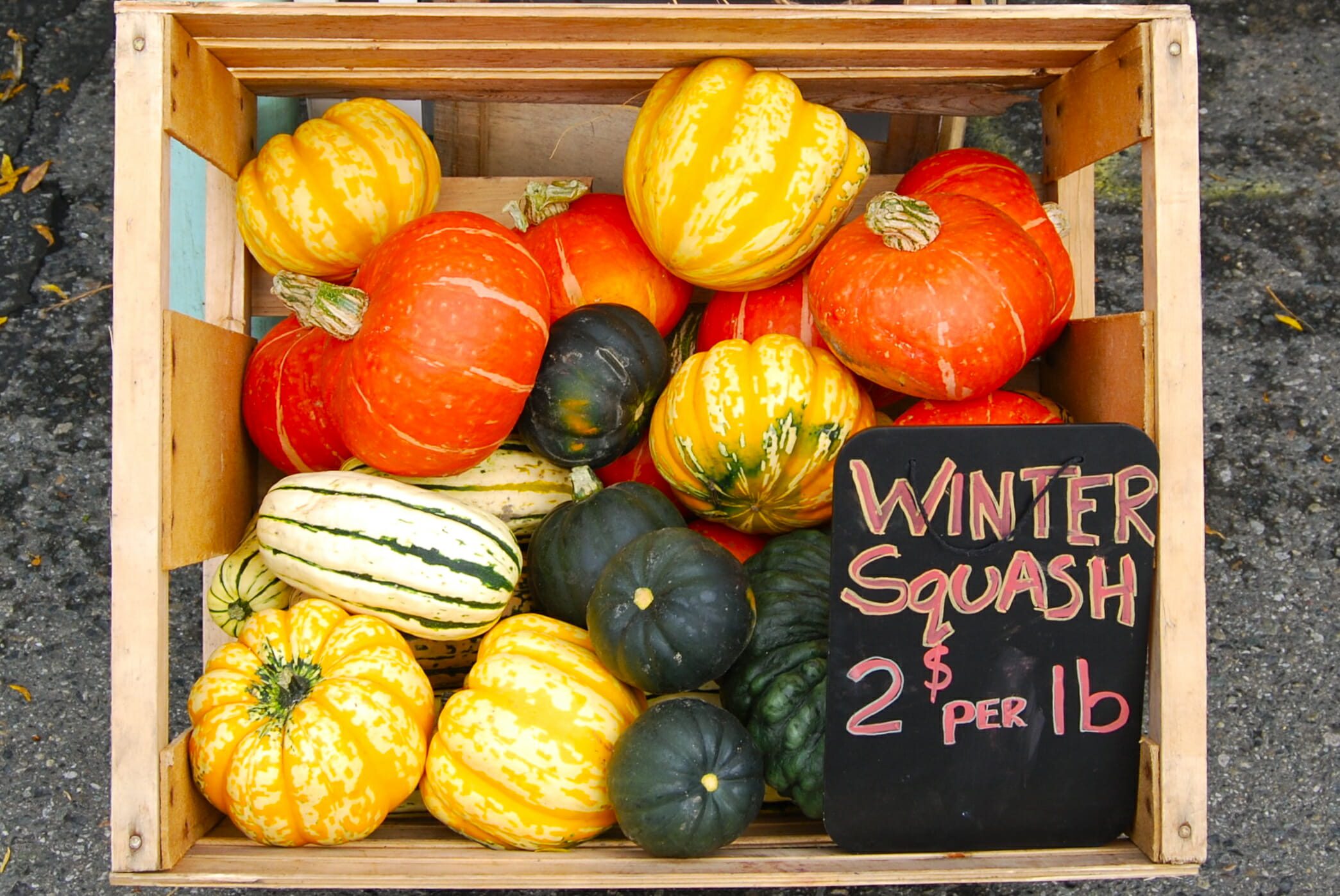 WinterSquash