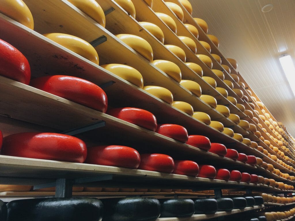 photo of a wall of cheese ageing at Mountainoak Cheese