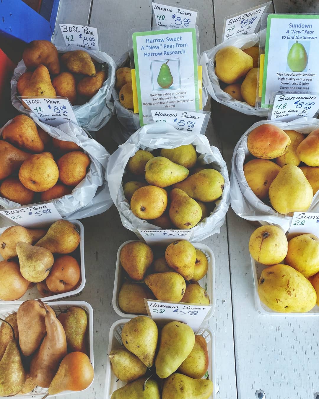 Sweet to Tart, Buttery to Crisp: A Farmers Market Guide to Pears : Foodwise