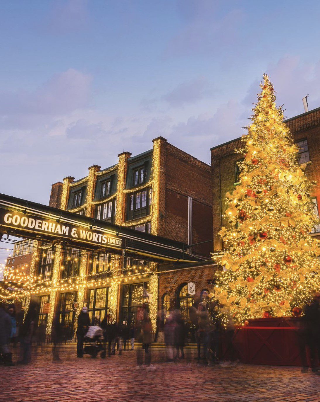 can you bring your dog to the toronto christmas market