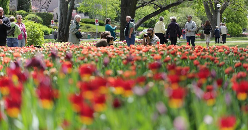 Where to eat in Ottawa during the 2022 Tulip Festival Ontario Culinary