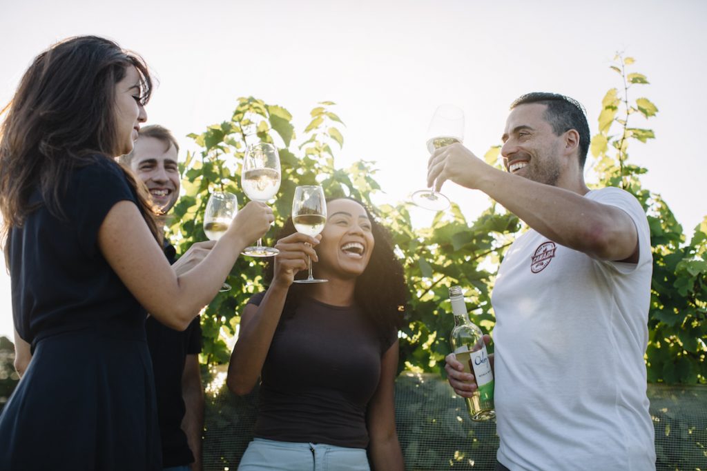 four friends cheersing their wine in a vineyard
