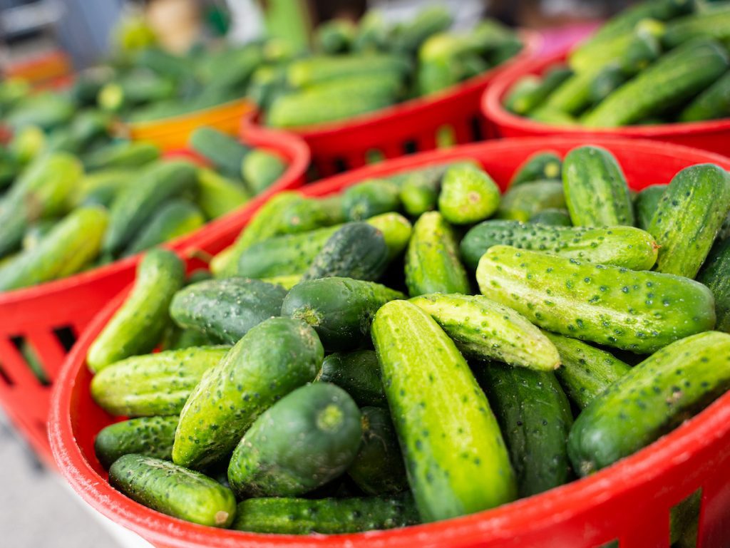 basket of cucumbers