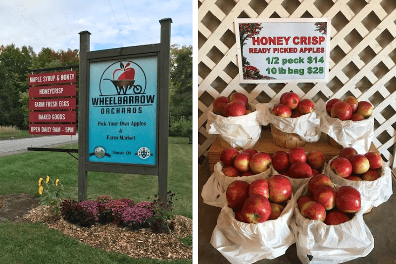 Wheelbarrow Orchards Farm Sign and farm market shelf with picked apples in a bag.