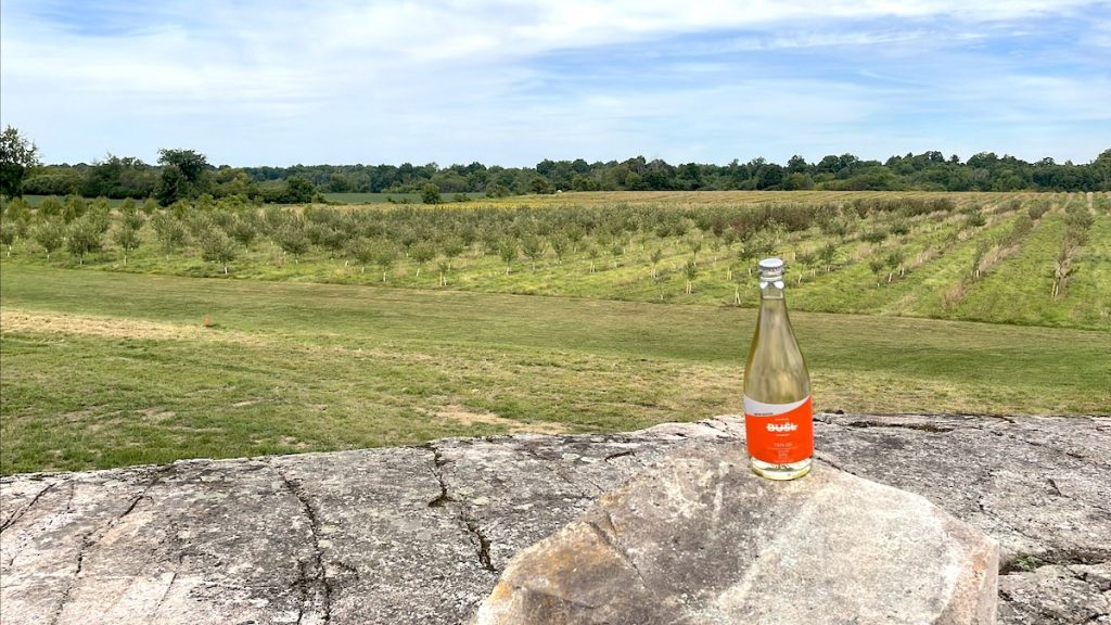 bottle of pumpkin cider sitting on rock face overlooking the vineyard