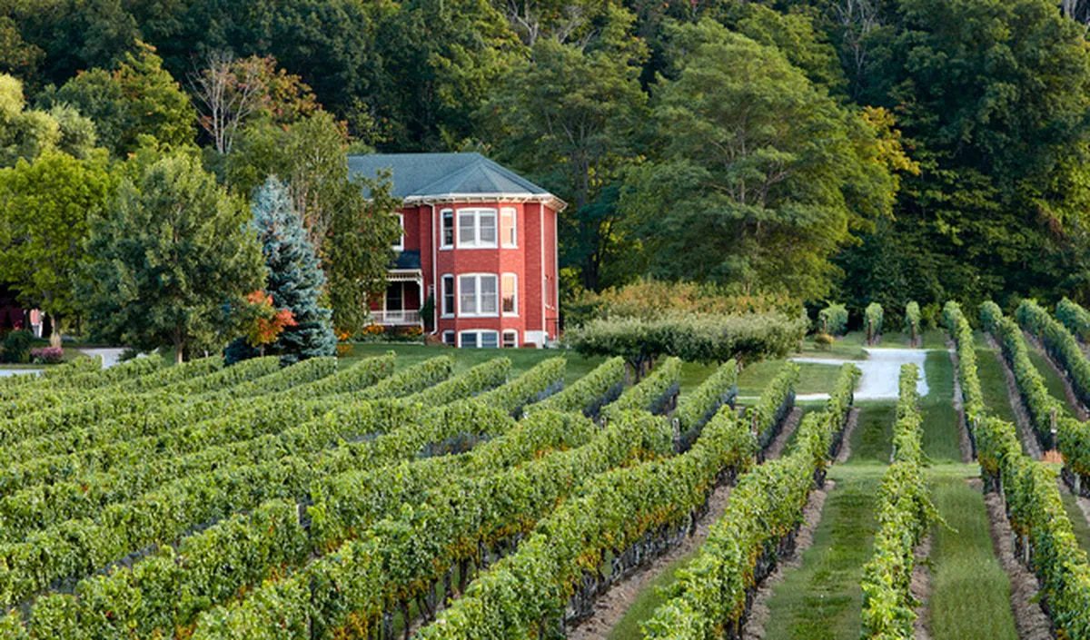 The vineyard and red-brick farm house at Cave Springs Winery