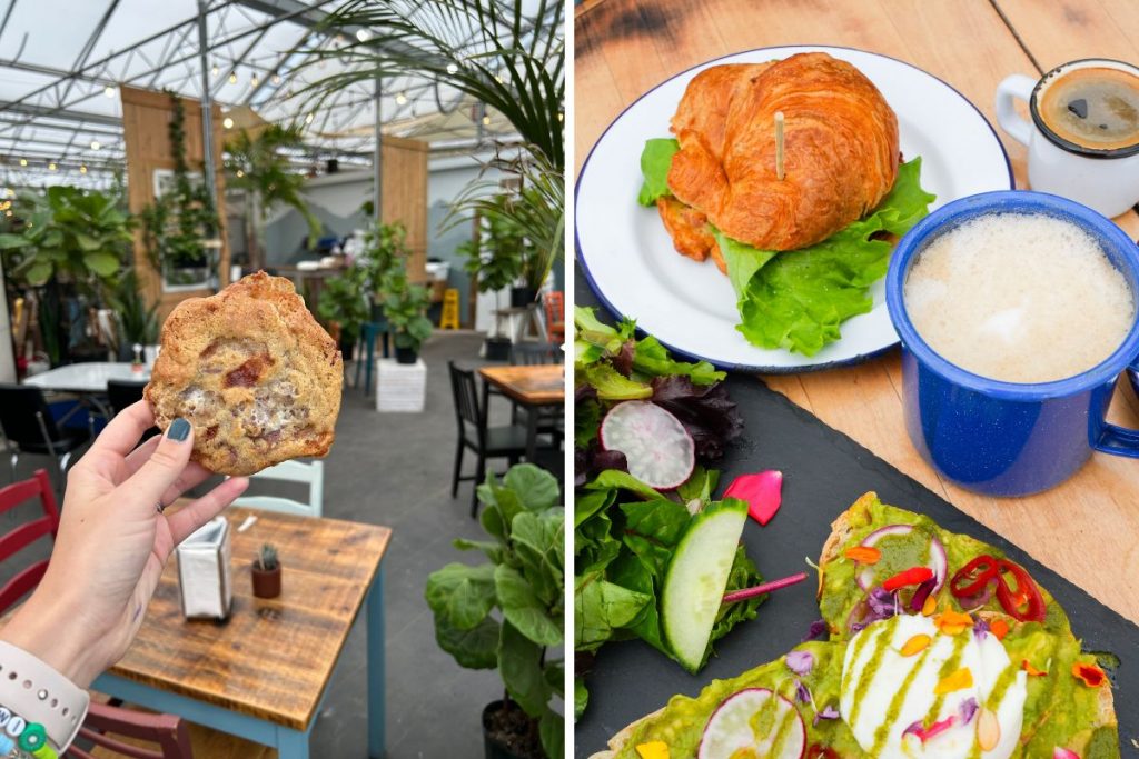 two photos from the watering can: 1 of a s'mores cookie heald up in the green house and one of a coffee, croissant sandwich and avocado toast with a poached egg on top