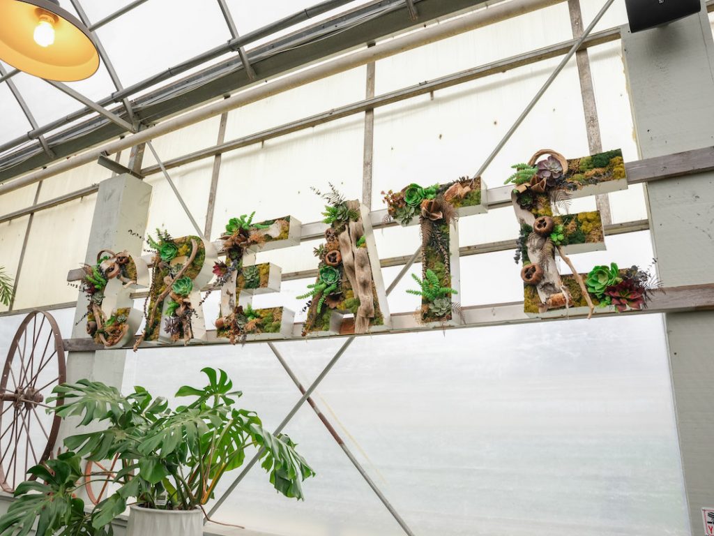 create sign made out of plants at the watering can