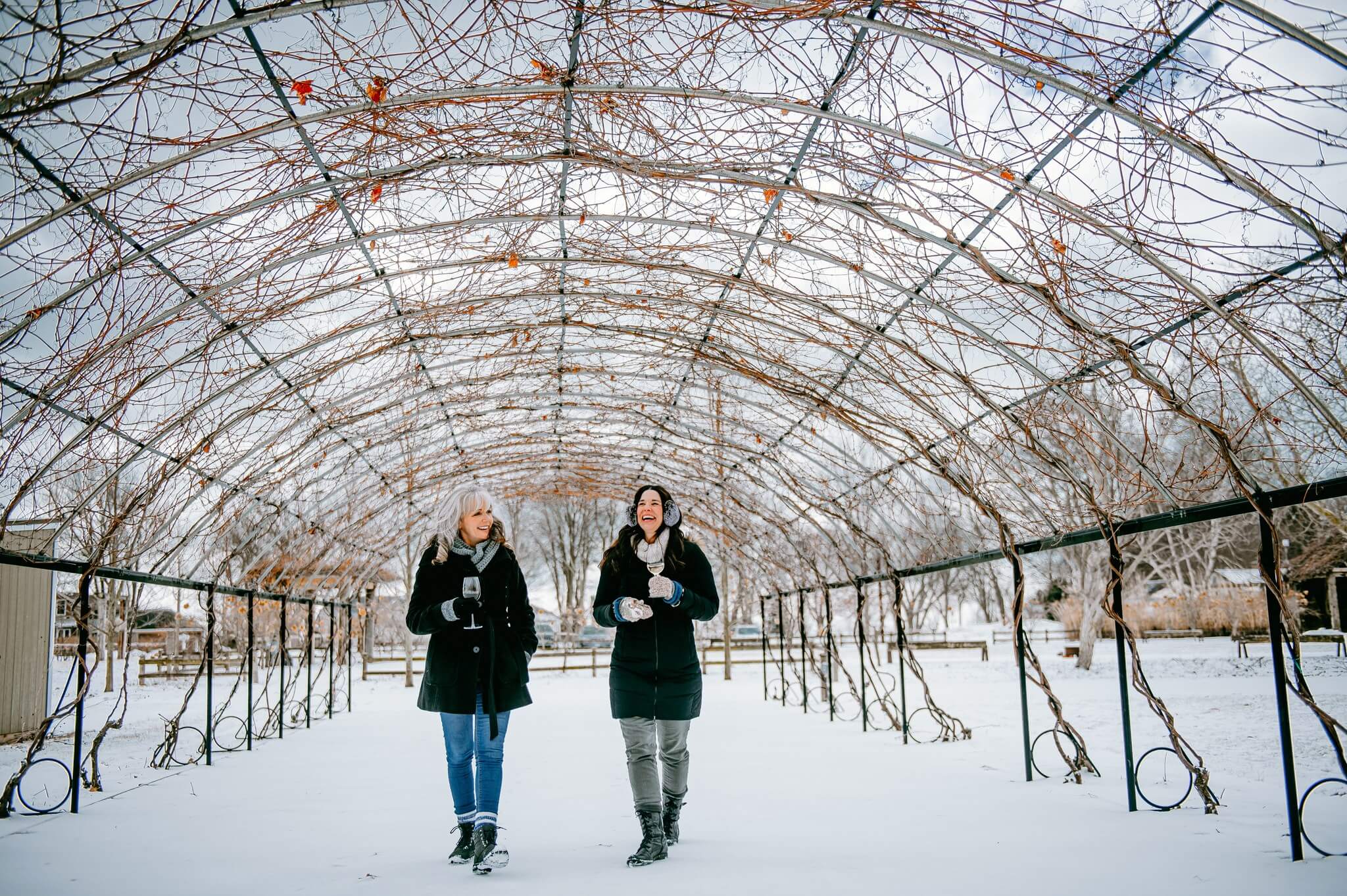 two women walking under the vine tunnel at Oxley Estate Winery
