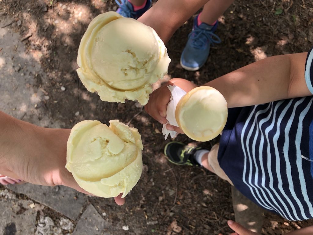 overhead shot of three hands holding ginger ice cream in cones from mapletons organic