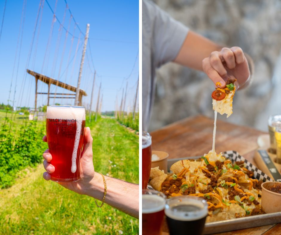 grid image of beer on the left and nacho pull on the right