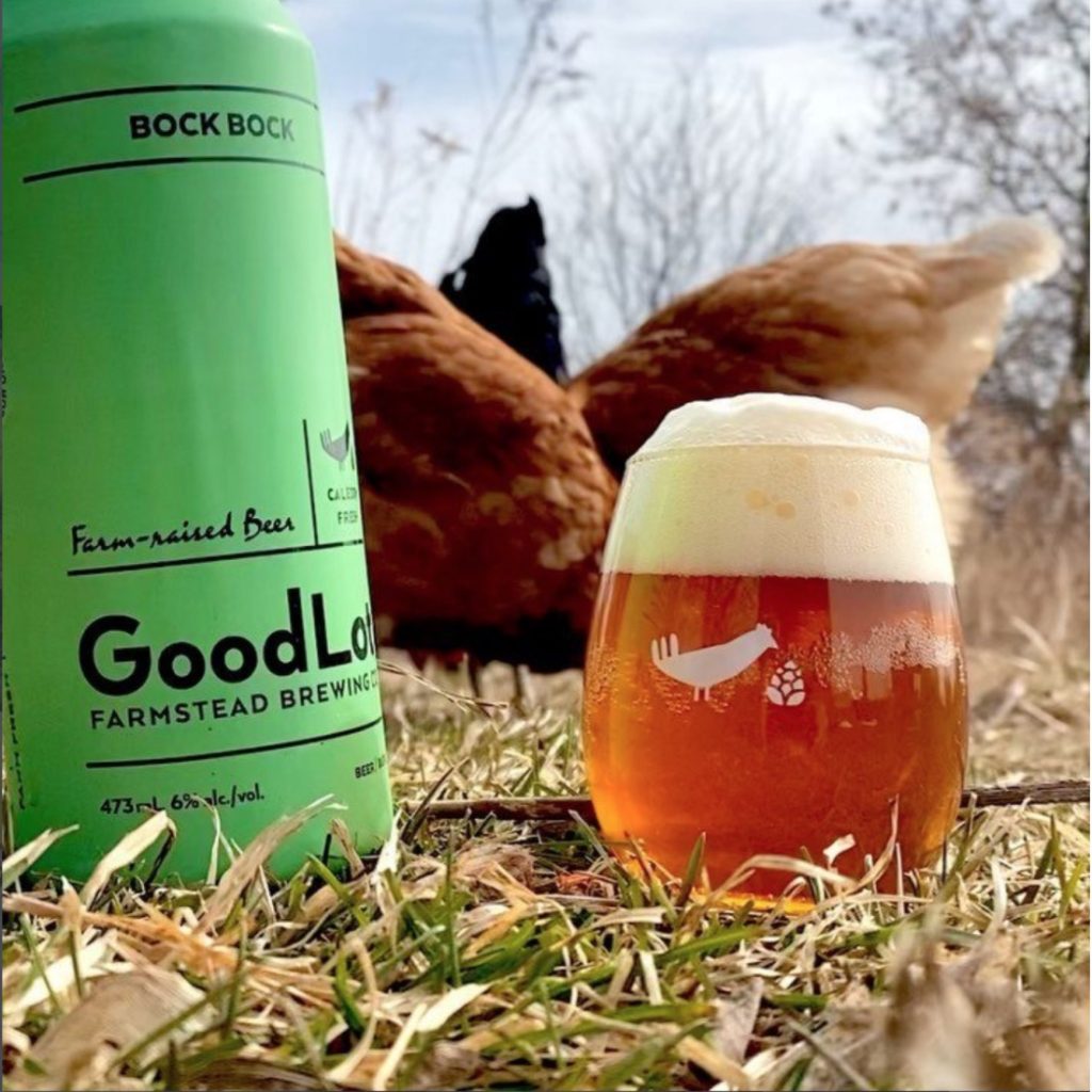 can of beer and glass of beer in the grass with a chicken in the background