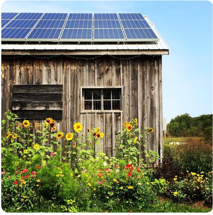 Wood building with solar panels on top in flower garden