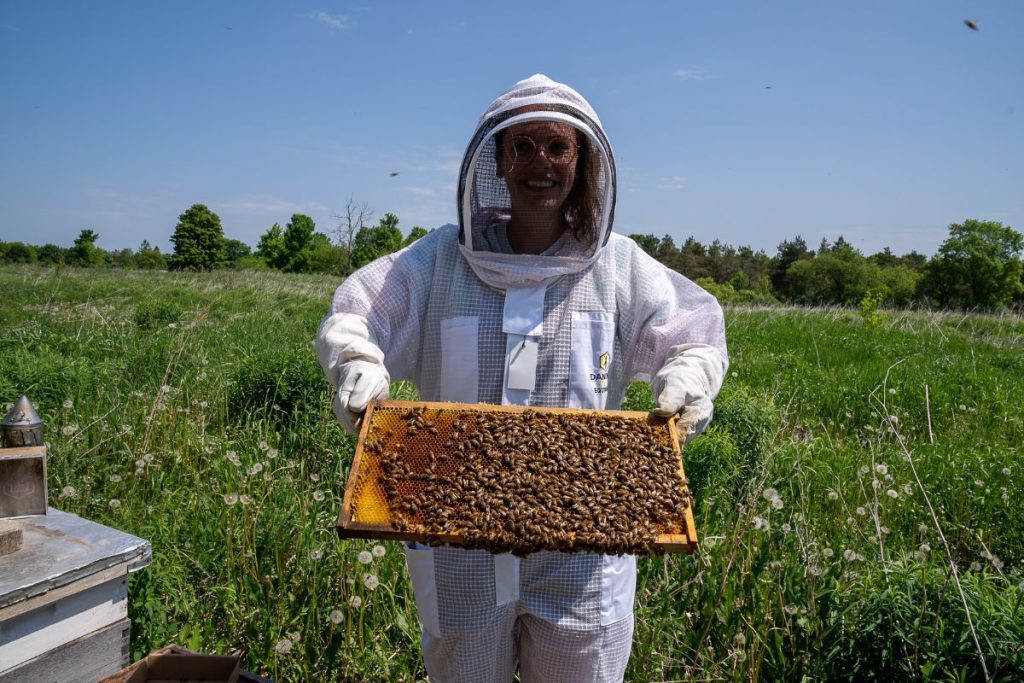 Gabby holding a bee frame