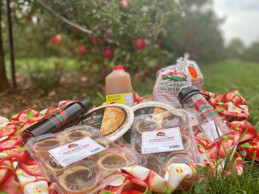 Photo of Apple products and baked goods placed in the grass with apple orchard as backdrop