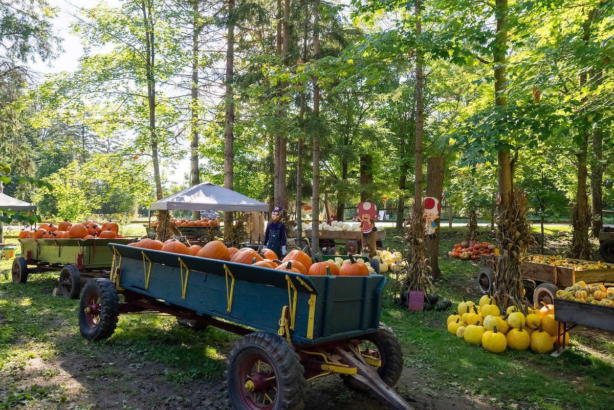 rolls royce wine tour prince edward county