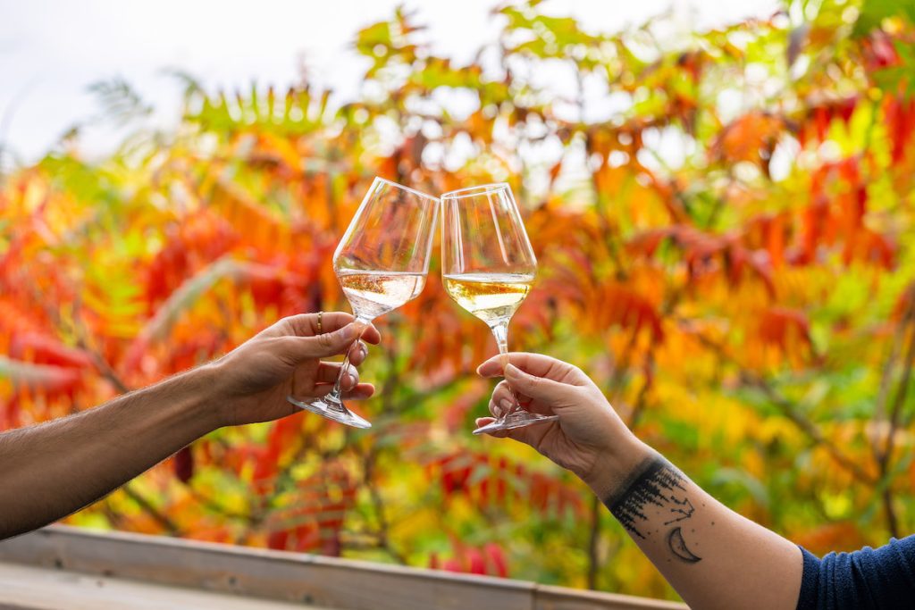 close up shot of two glasses cheersing at the roost outdoors in front of some fall foliage