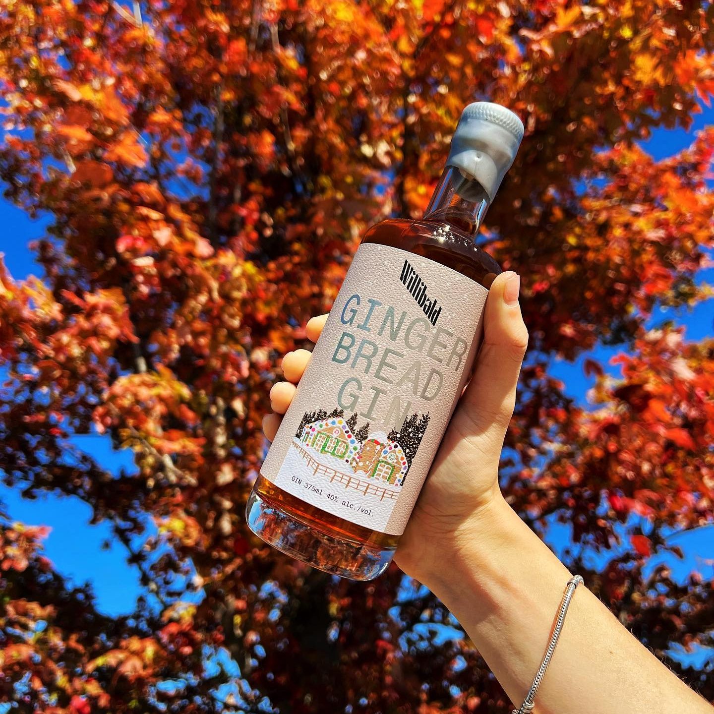 bottle of gingerbread gin from willibald being held up to a tree with orange leaves