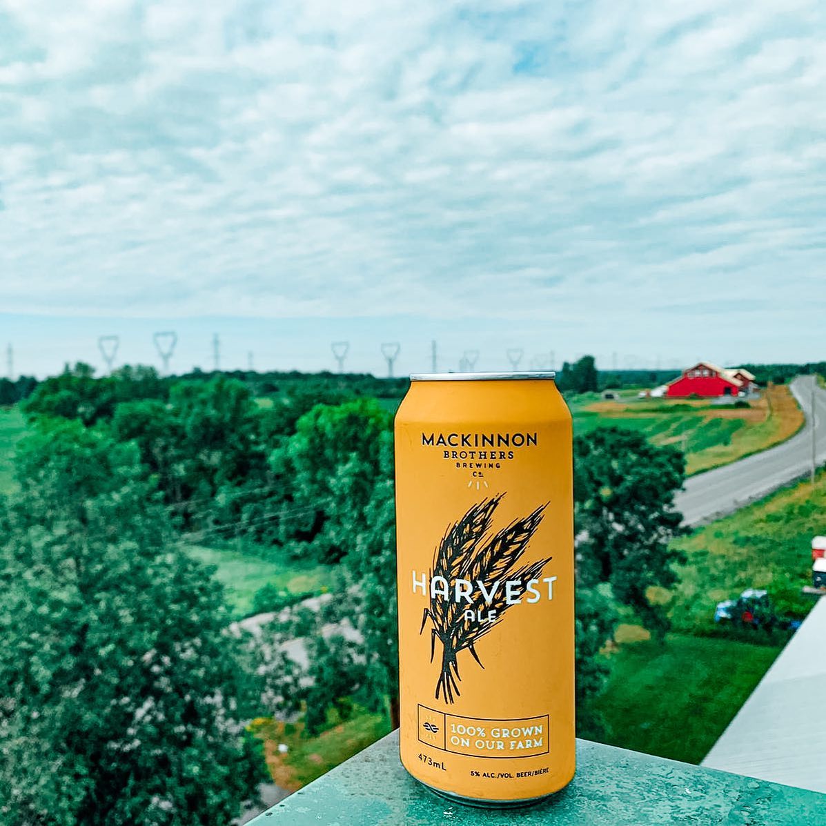 a can of harvest ale from Mackinnon Brothers sitting on a ledge that overlooks a farm field