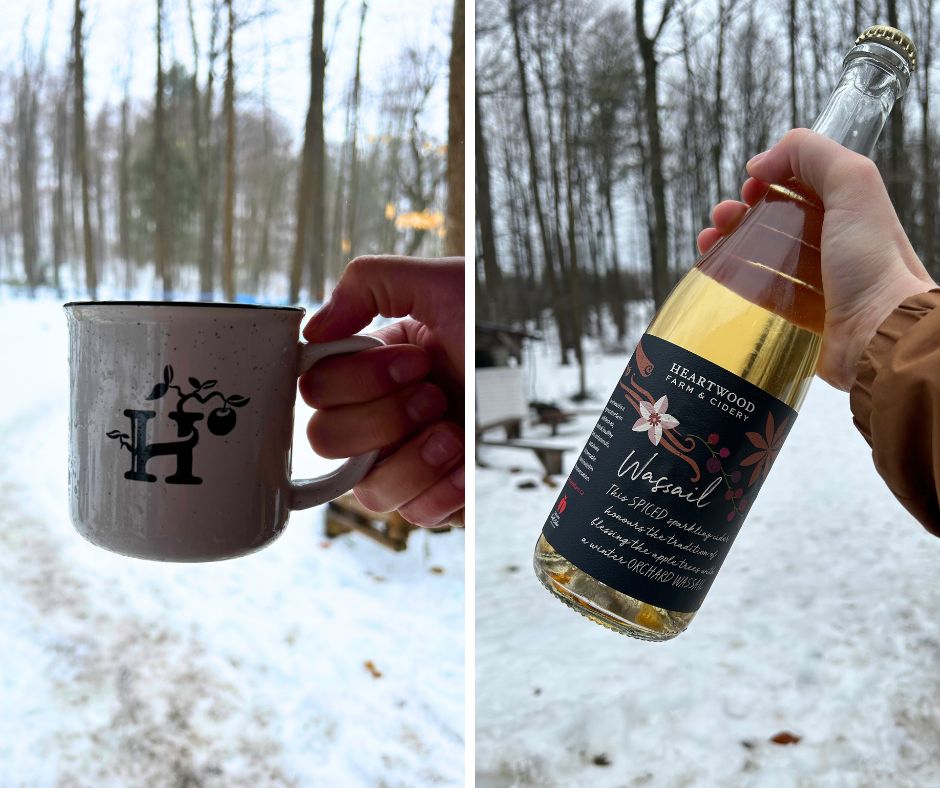 heartwood farm and cidery grid, sap water in a mug on the left and cider on the right