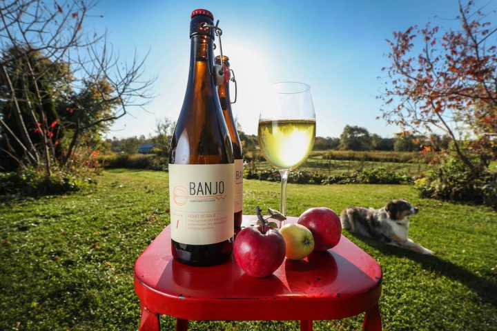 bottle and glass of cider on a table outside with apples at Banjo Cider
