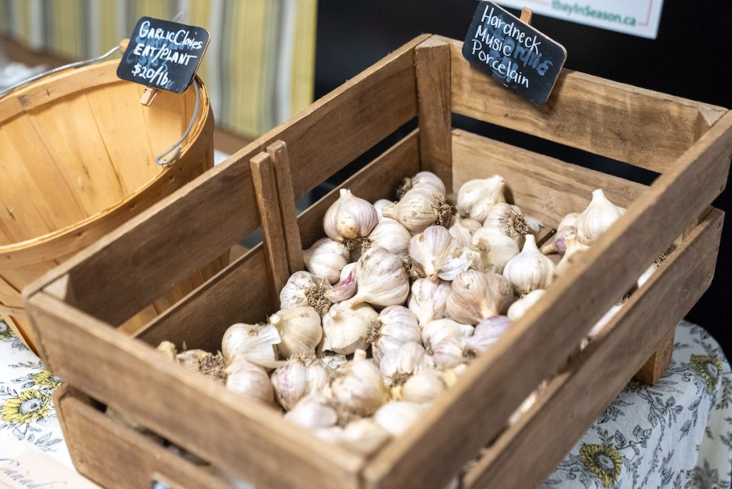 Crate of garlic at the Thunder Bay Country Market