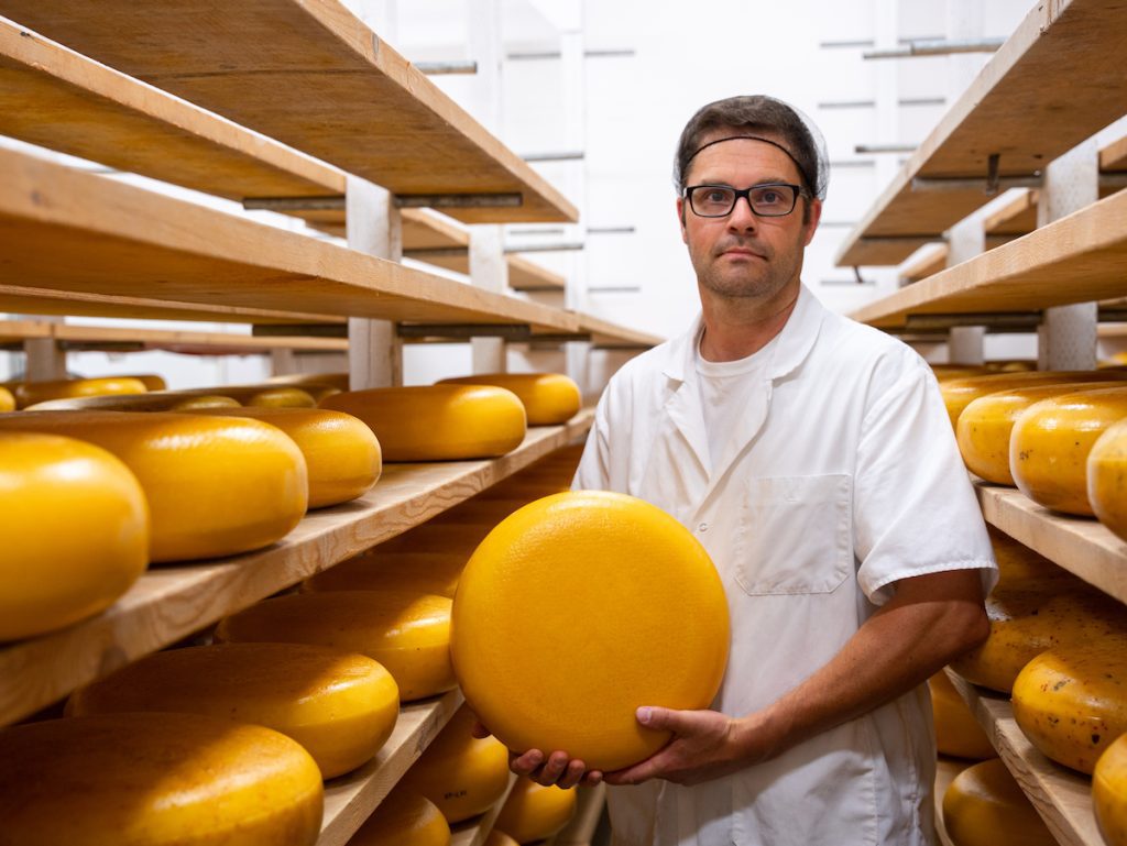 cheesemaker holding the cheese in aisles of Gouda