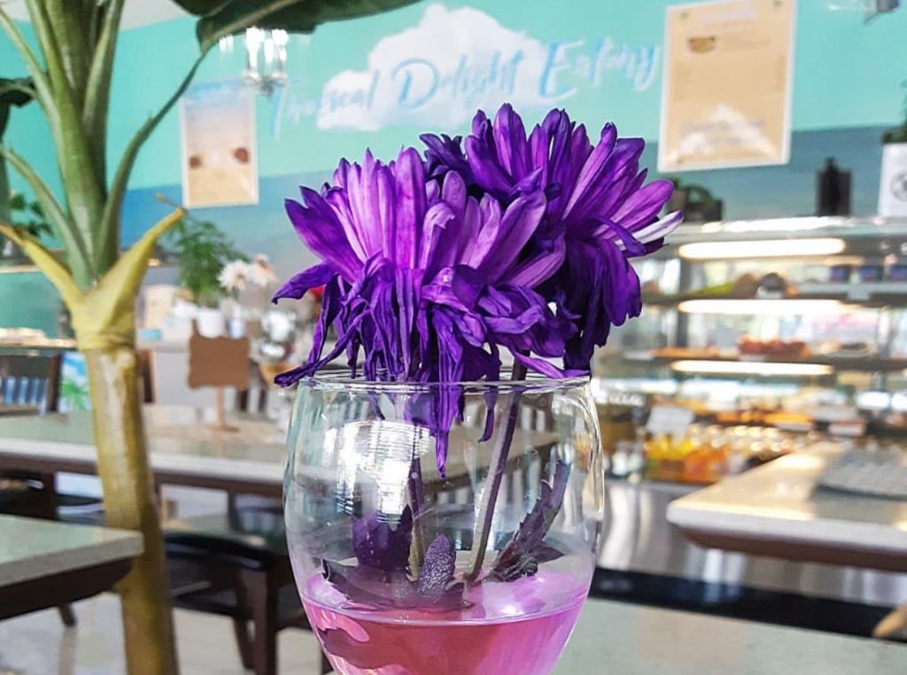cocktail with purple flowers