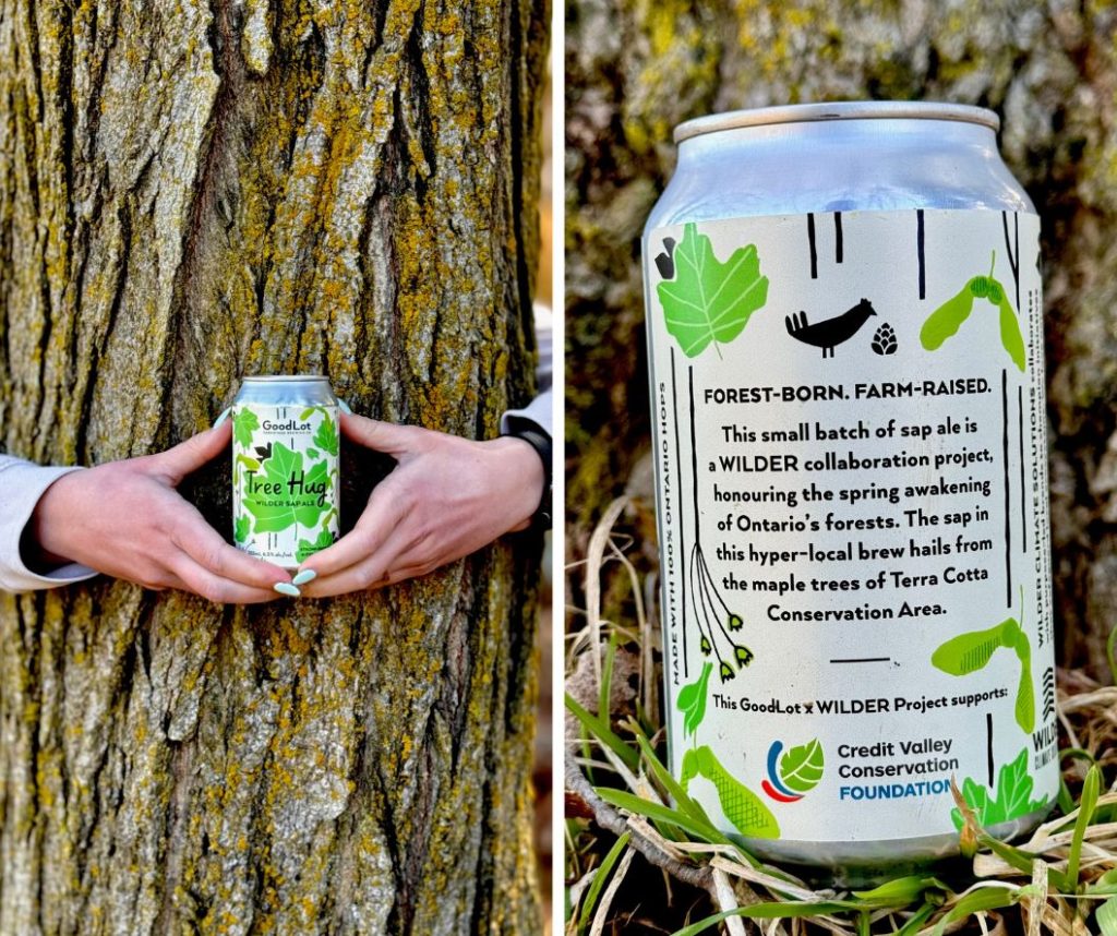 grid of two photos of tree hug beer (one being heald around a tree and the other a closeup of the label)
