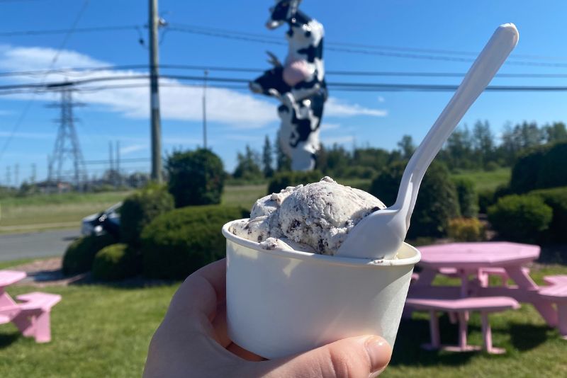 Close up of icre cream scoop in a cup with a spoon. Background includes pink picnic tables and a Holy Cows road sign.