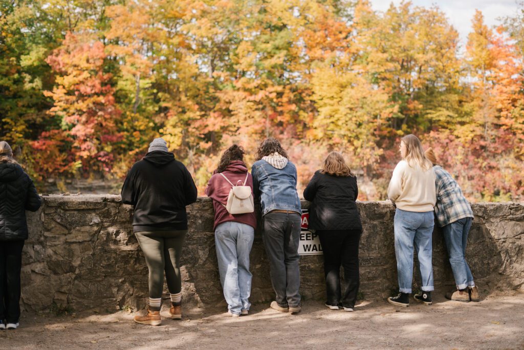 people looking out at hte fall colours on the escaprment at the Balls Falls Thanksgiving festival