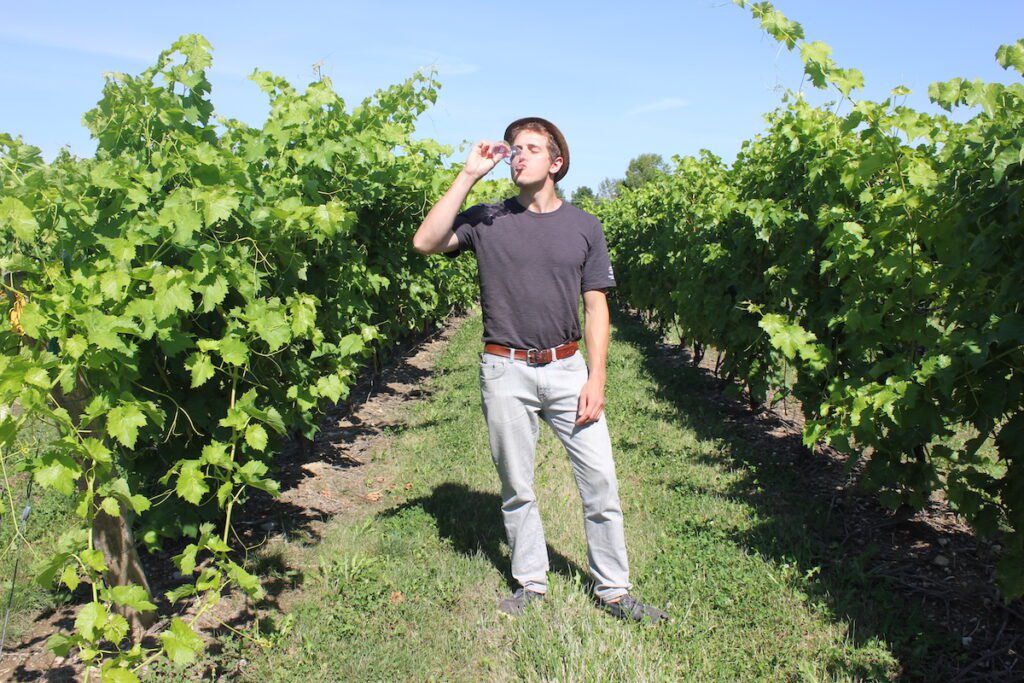 man sipping wine in the vineyard at Georgian Hills