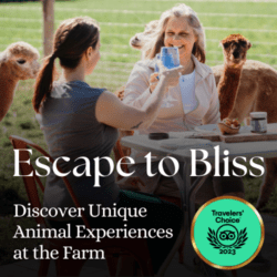 Escape to Bliss Ad by Udderly Ridiculous Farm Life