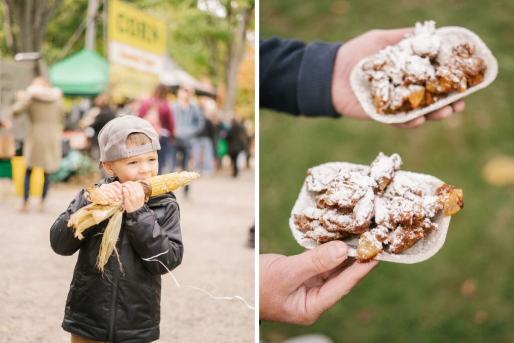 grid of balls falls Thanksgiving Festival: on the left a little boy eating roasted corn on the cob and on the right deep fried donuts covered in powdered sugar