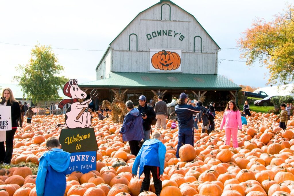 Downeys Farm Market