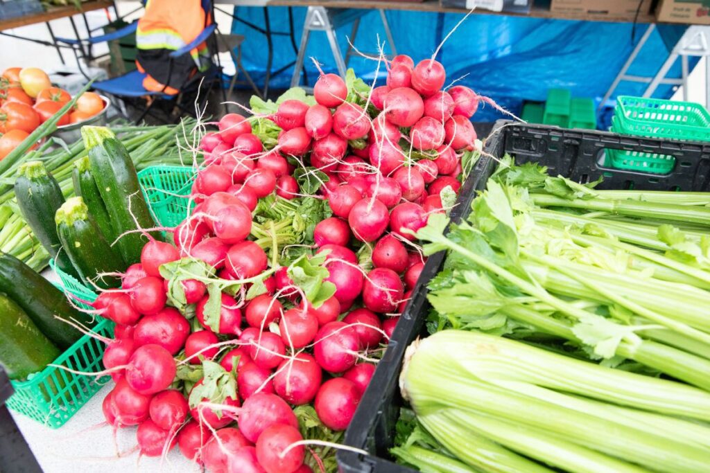 turninps and celery at the East Gwillumbury Farmers Market