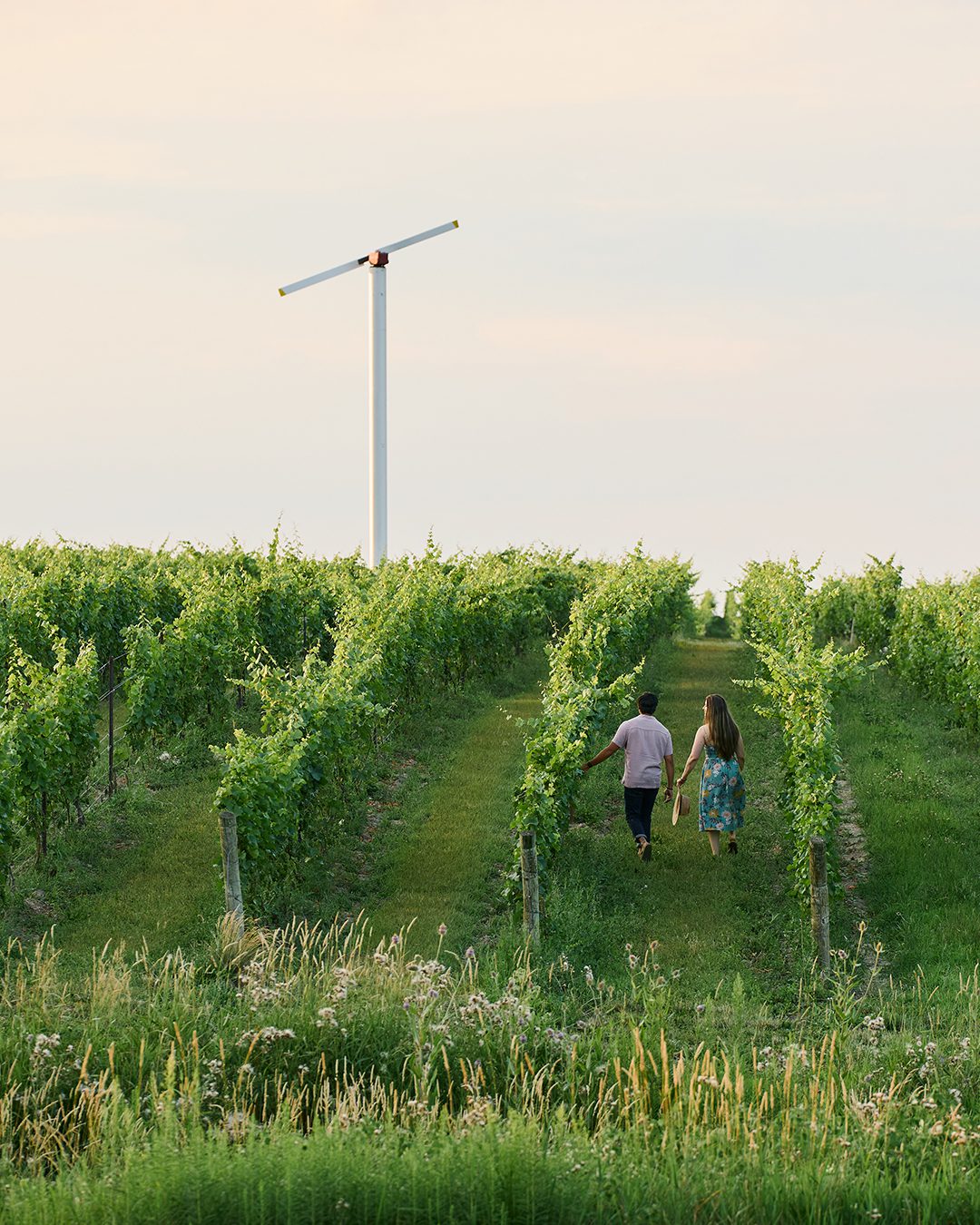 couple walking through vineyard