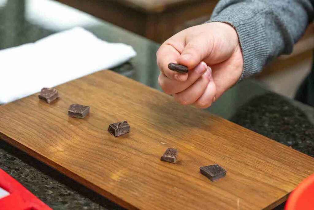 close up of chocolate flight and cocoa bean